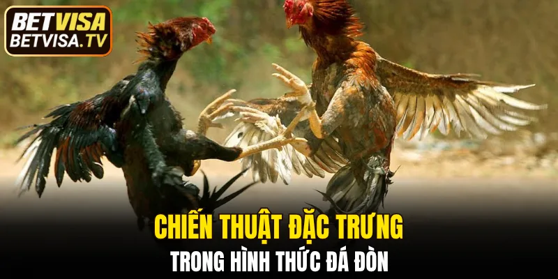 Đá Gà Thomo - Trải Nghiệm Hấp Dẫn Với Chiến Kê Đỉnh Cao 7 4 chiến thuật phổ biến mà các chuyên gia chia sẻ