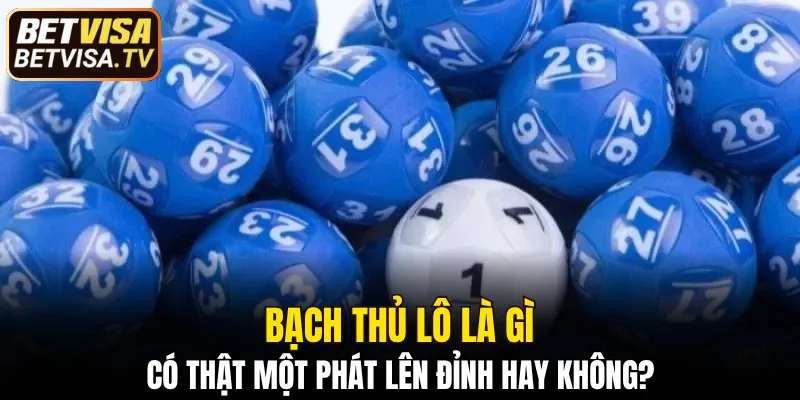 Bạch Thủ Lô Là Gì - Khi Nào Nên Sử Dụng Để Đạt Hiệu Quả 1 Bạch thủ lô là gì