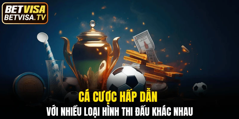 Sảnh Thể Thao Ảo BETVISA - Xu Hướng Cá Cược Đi Đầu 5 Cá cược hấp dẫn với nhiều loại hình thi đấu khác nhau