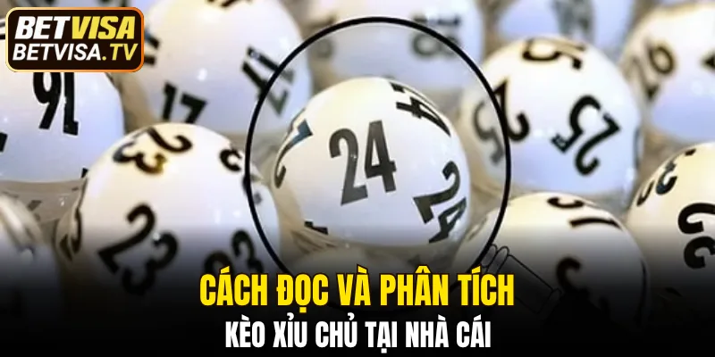 Bạch Thủ Lô Là Gì - Khi Nào Nên Sử Dụng Để Đạt Hiệu Quả 6 Cách đọc và phân tích kèo xỉu chủ chuẩn chỉ hiện nay