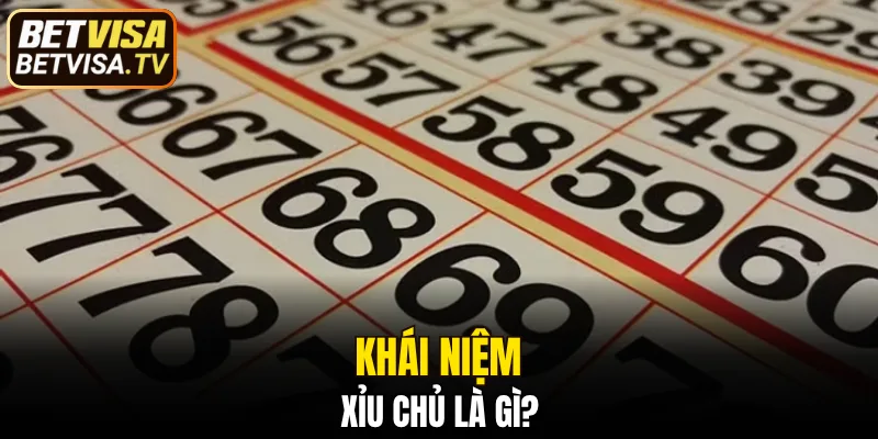 Bạch Thủ Lô Là Gì - Khi Nào Nên Sử Dụng Để Đạt Hiệu Quả 5 Khái niệm kèo xỉu chủ hiện nay