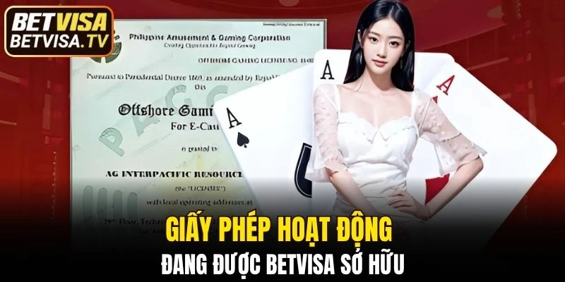 Giấy Phép Hoạt Động BETVISA - Cam Kết An Toàn Cá Cược 5 Một số giấy phép hoạt động đang được thương hiệu sở hữu