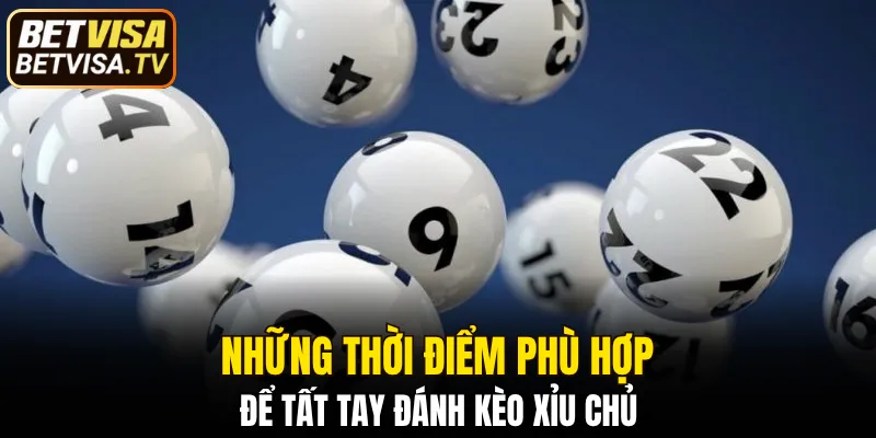 Bạch Thủ Lô Là Gì - Khi Nào Nên Sử Dụng Để Đạt Hiệu Quả 7 Những thời điểm thích hợp để xuống tay kèo xỉu chủ