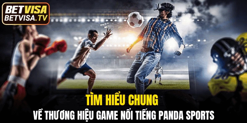 Panda Sports - Thể Thao Độc Quyền Từ Nhà Game Uy Tín 4 Tìm hiểu chung về thương hiệu game nổi tiếng Panda Sports