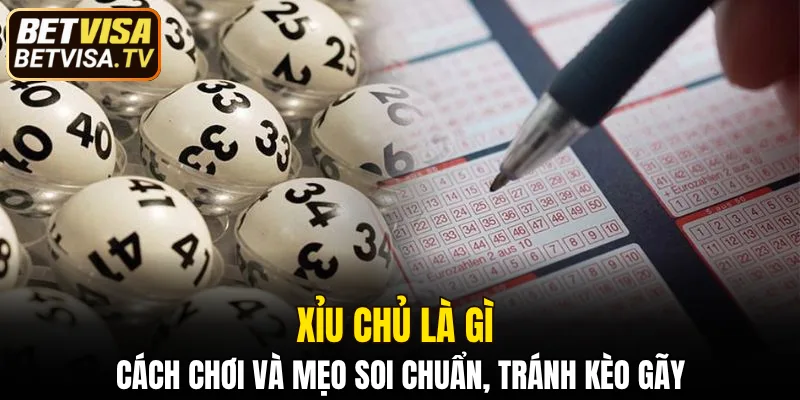 Xỉu Chủ Là Gì - Cách Chơi & Mẹo Soi Chuẩn Dễ Thắng 2 xỉu chủ là gì